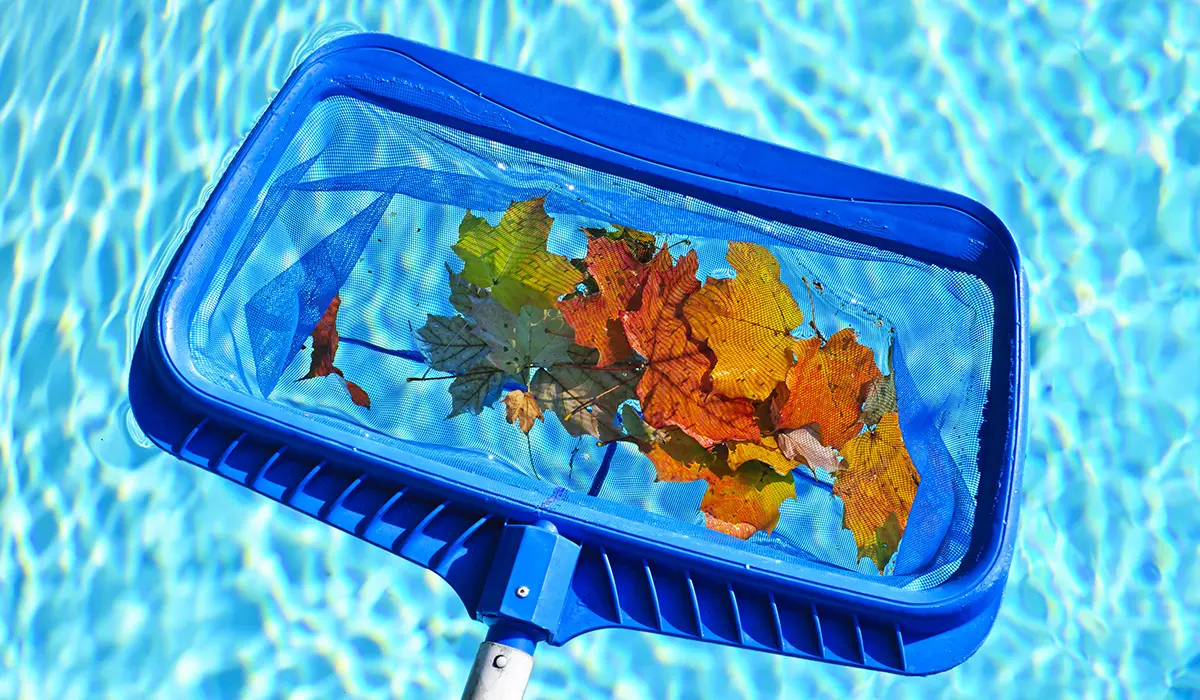 Pool servicing for SEO target area